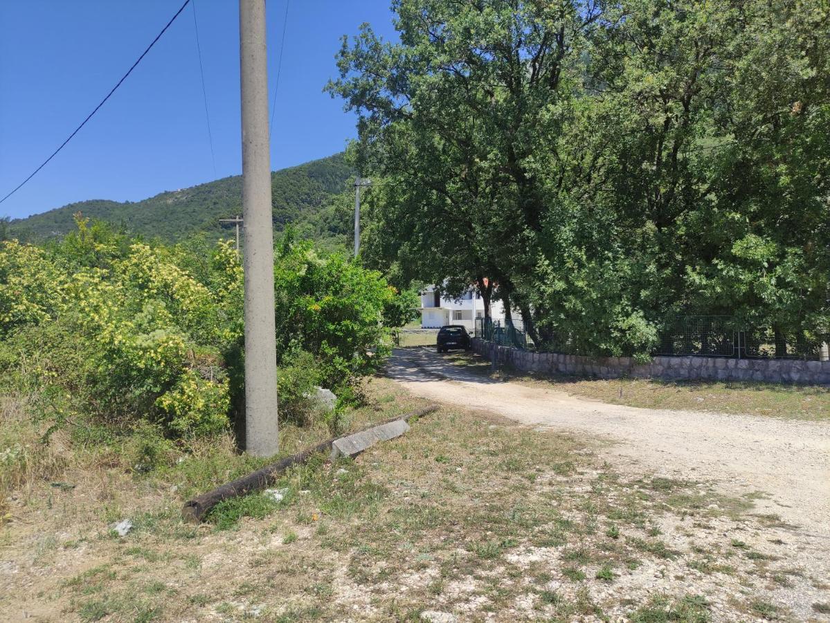 Apartman Bujkovic Sutvara Lägenhet Kotor Rum bild