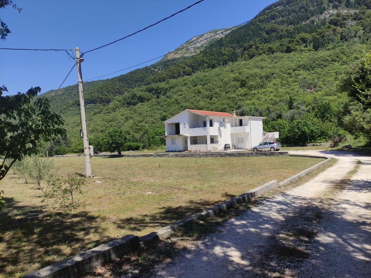 Apartman Bujkovic Sutvara Lägenhet Kotor Rum bild
